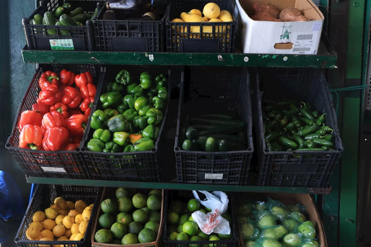 Mastering the Market: How to Stop Your Seasonal Haul from Turning to Compost