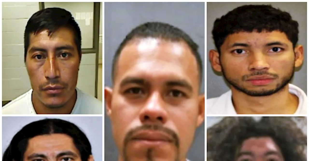 ICE Deports Several Illegal Alien Gang Members