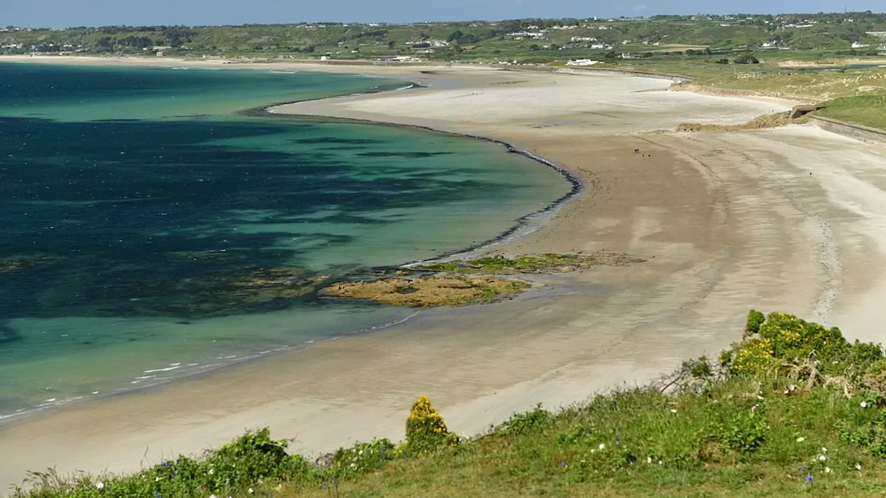 Jersey's First Shark-Induced Beach Closure Signals Warming Waters