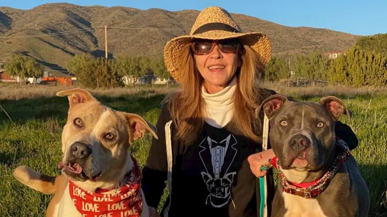 Linda Blair's Animal Sanctuary Under Fire: The Gap Between Advocacy and Administration