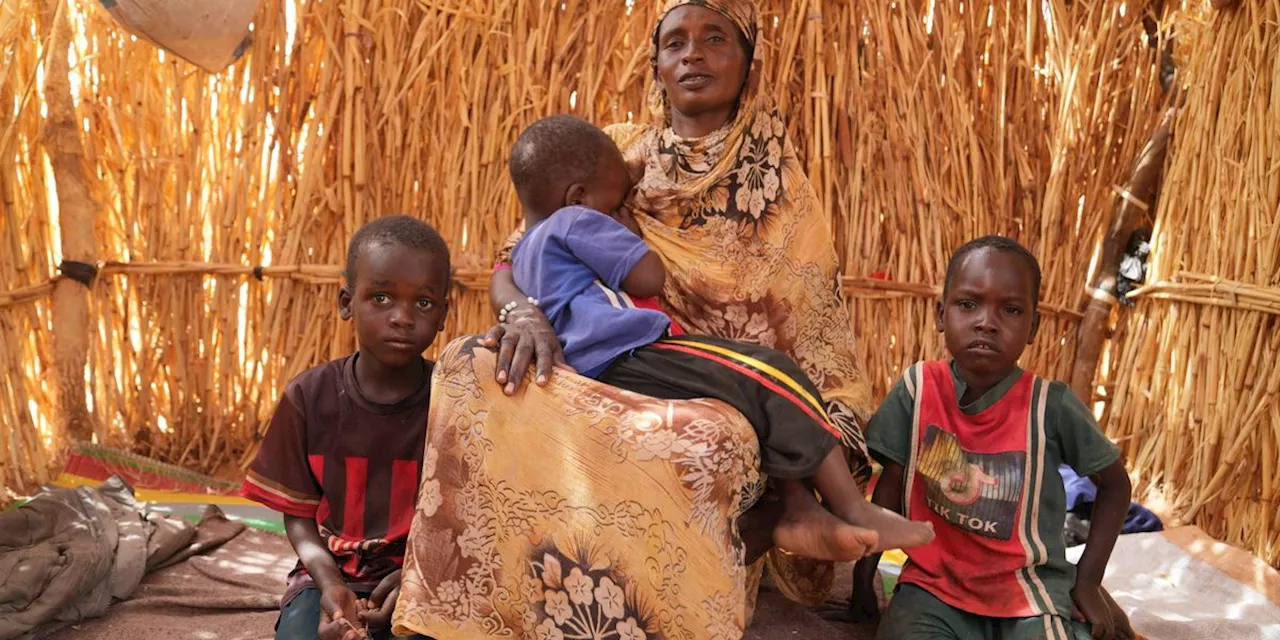 The UAE Arms Link: Why Senators are Demanding Trump Act on Sudan's RSF Atrocities