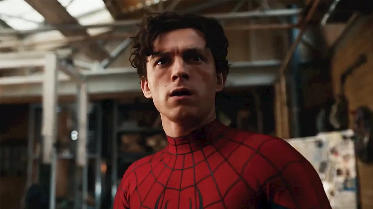 Spider-Man: Across the Spider-Verse Balances Continuity and Connectivity with Skill