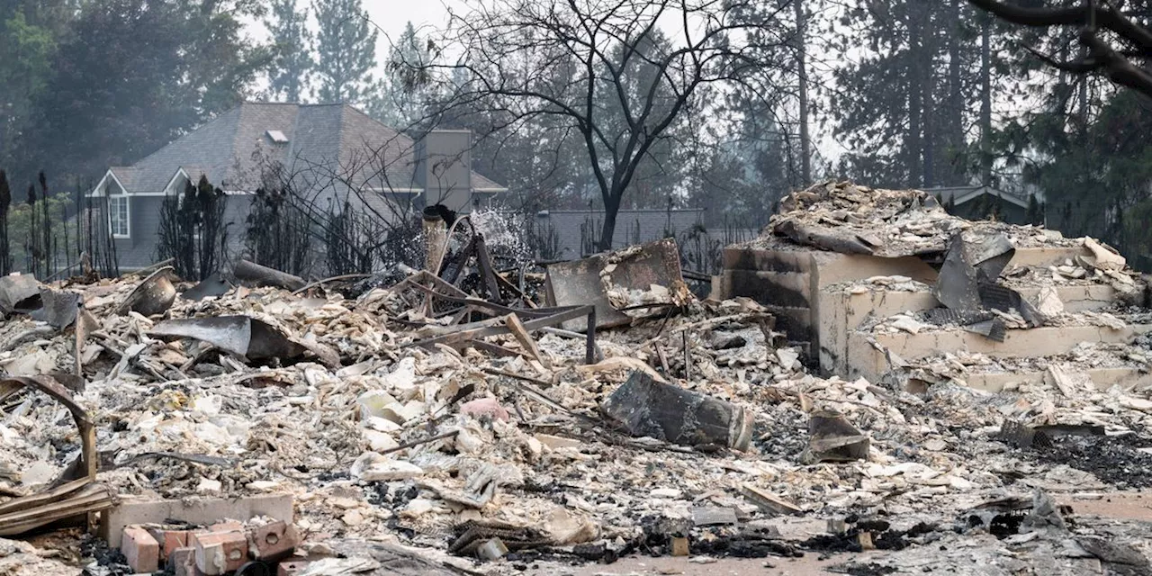 The Profit Paradox: Spokane and Colorado Blazes Signal a Global Climate Breaking Point