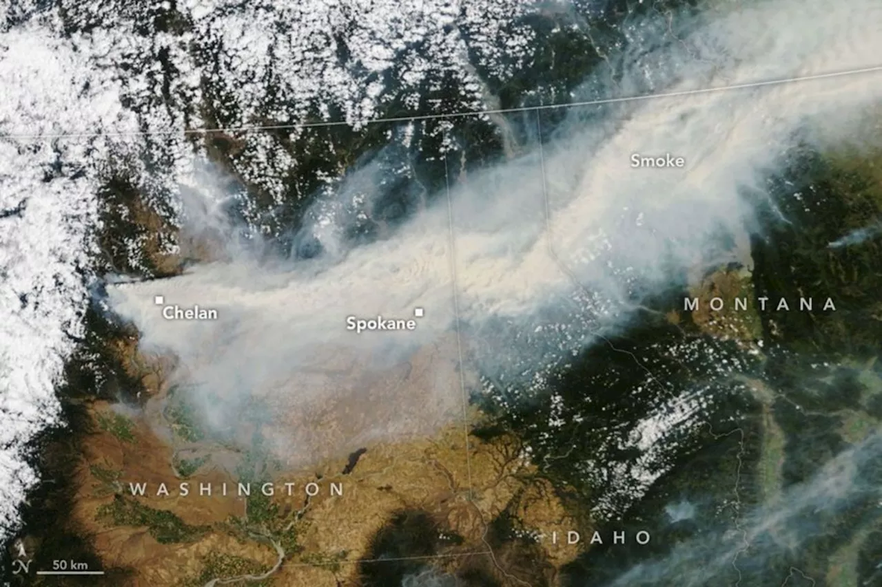 Smoke Across Borders: The Devastation of Washington's Spokane-Area Blazes