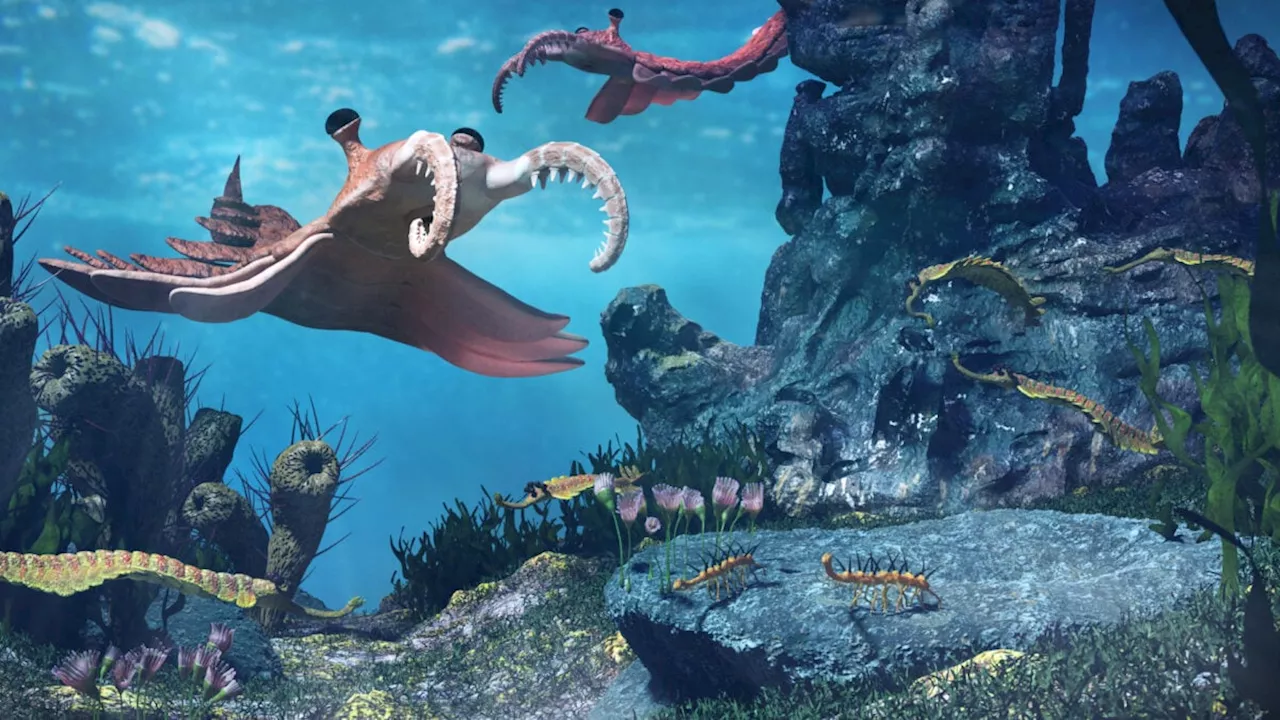 The 'Poop Loop': How Fossilized Waste Drove the Cambrian Explosion