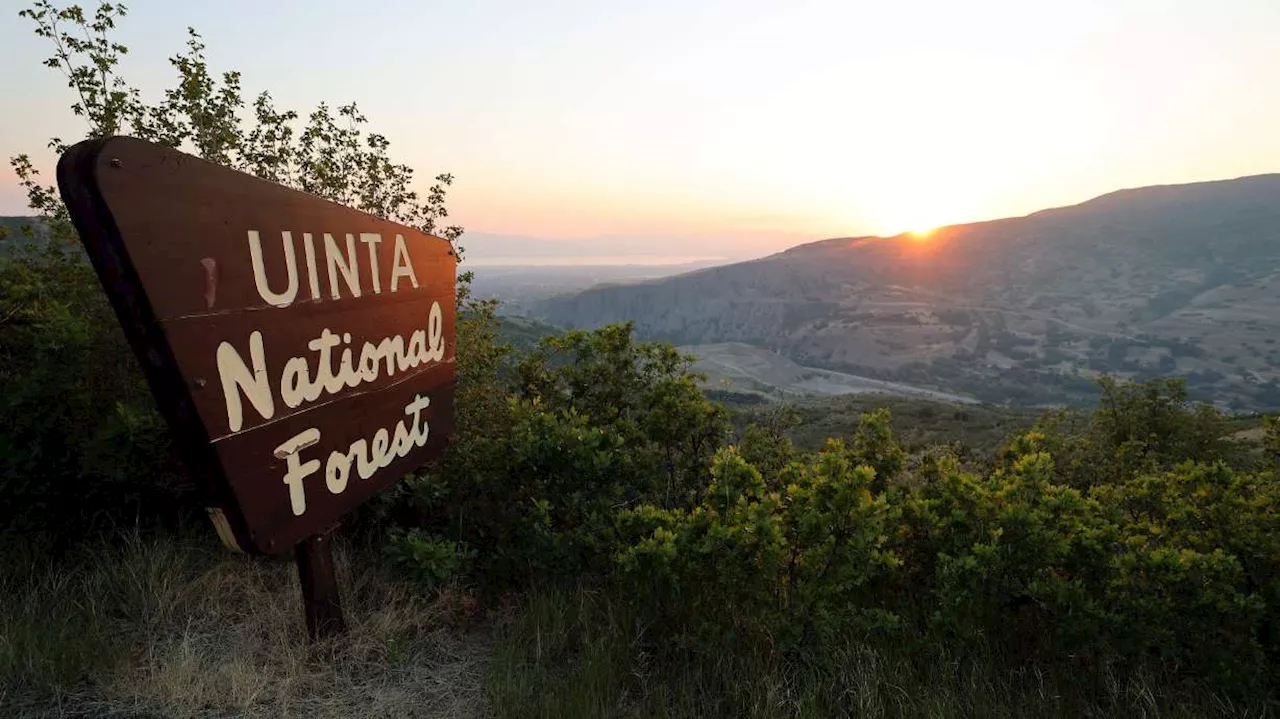 The Race to Pass the Fix Our Forests Act Amidst a Record Wildfire Season