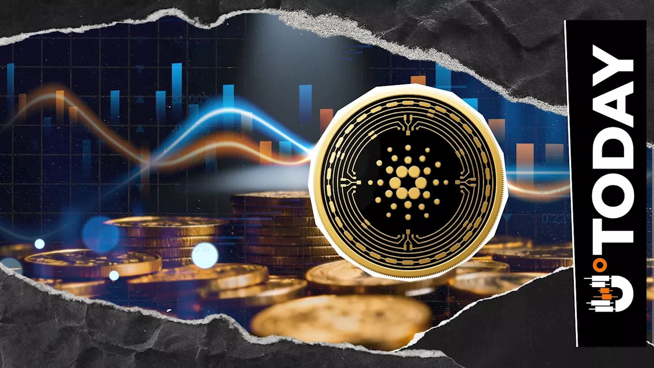 Cardano’s Decentralization Milestone: The Meaning Behind the Nakamoto 16