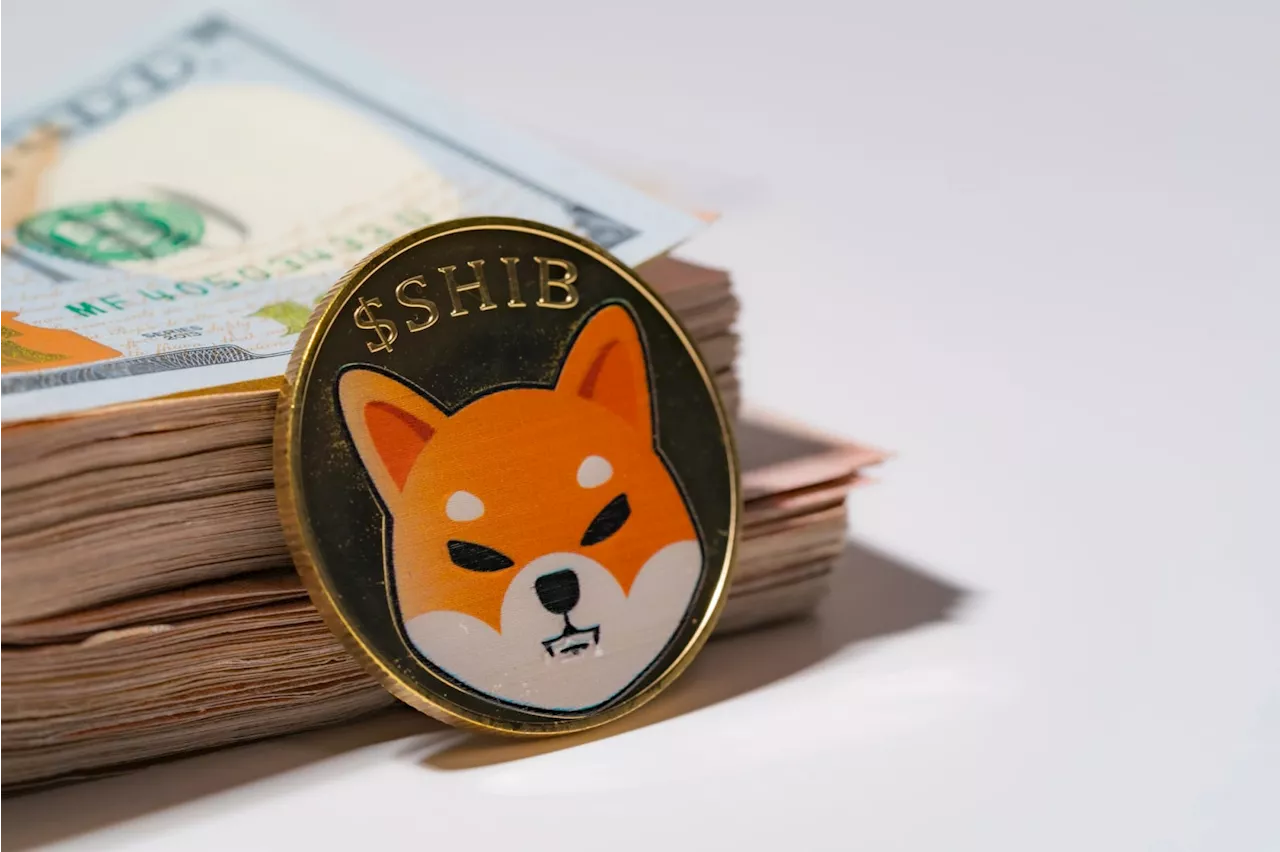Dubai's Digital Leap: Duty Free Now Accepts Shiba Inu and 29 Other Cryptos