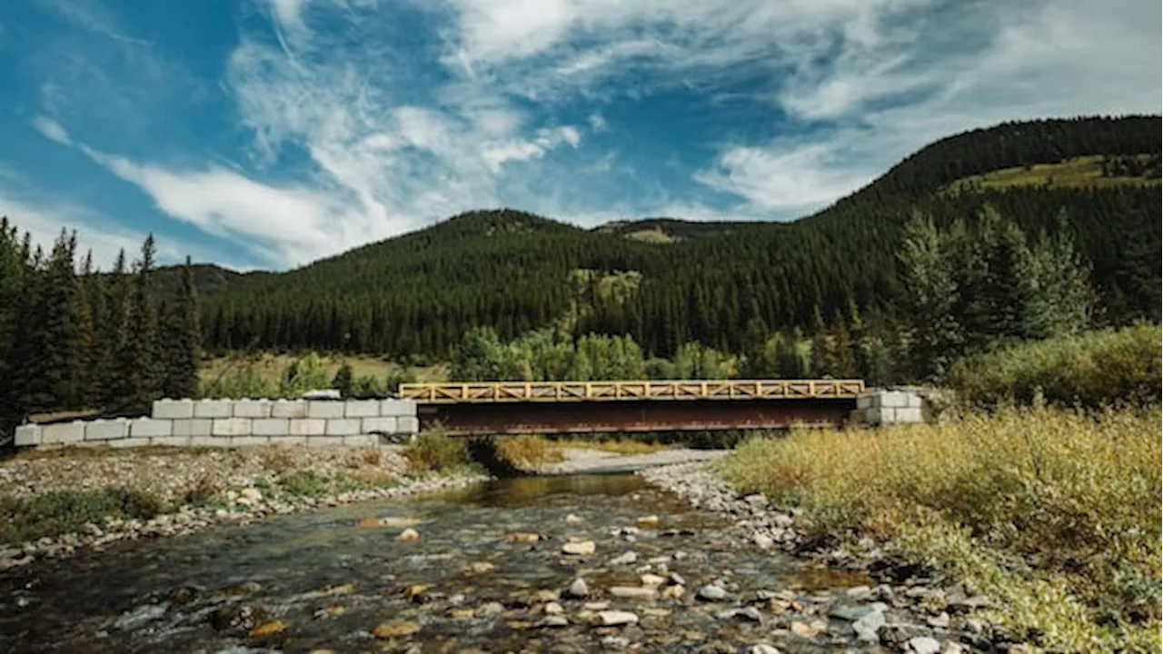 Resource Shortage Shields Spray Lakes Sawmills from Bridge Probe