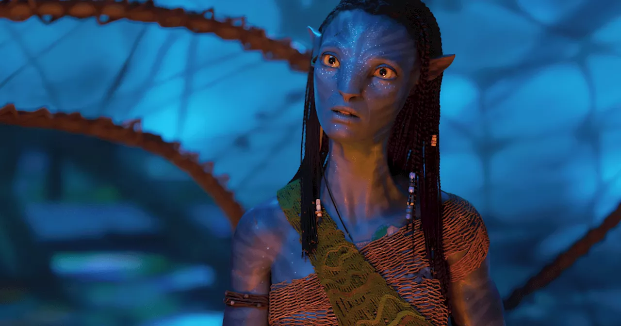 The 20-Year Avatar Cycle: James Cameron Questions the Cost of Blockbusters