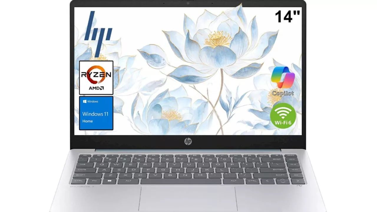 Amazon’s $300 Laptop Deal: A Bargain or a Budget Bottleneck?