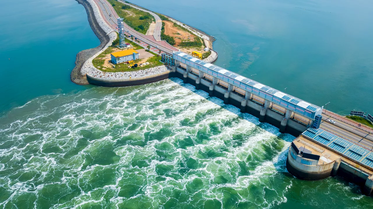 The High Cost of Ocean Power: Can Tidal Energy Outrun Wind?