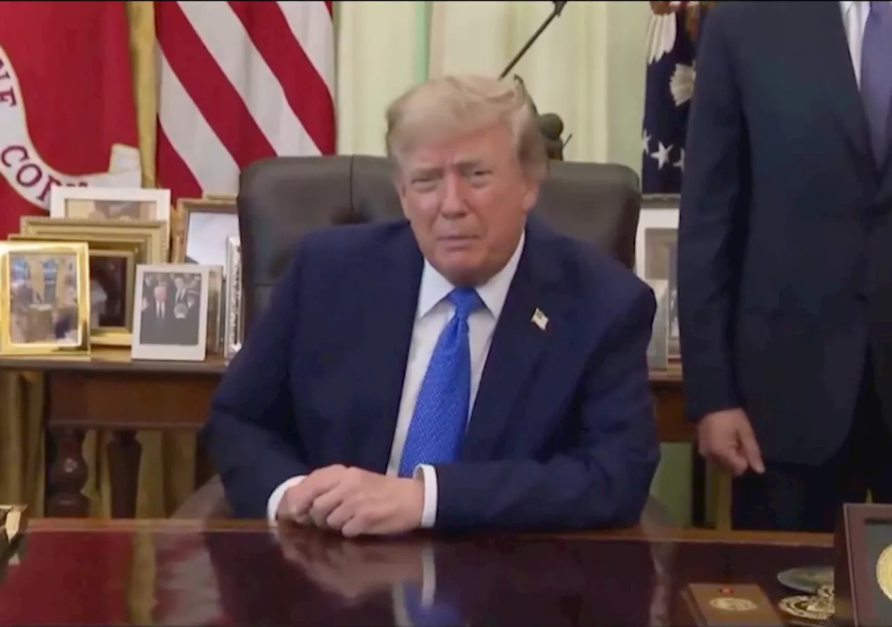 Trump’s Executive Orders Target "Birth Tourism" and Terrorist Affiliations