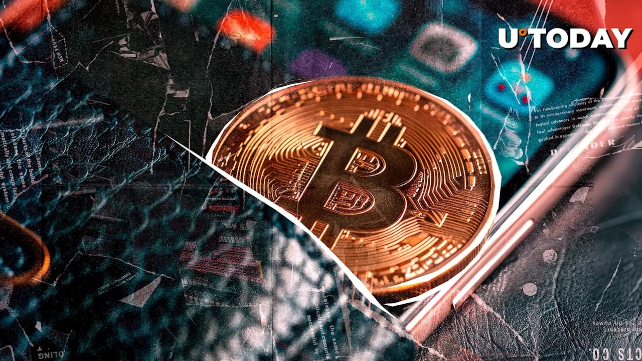 The Self-Custody Paradox: Why a Bitcoin Expert Avoided the Asset