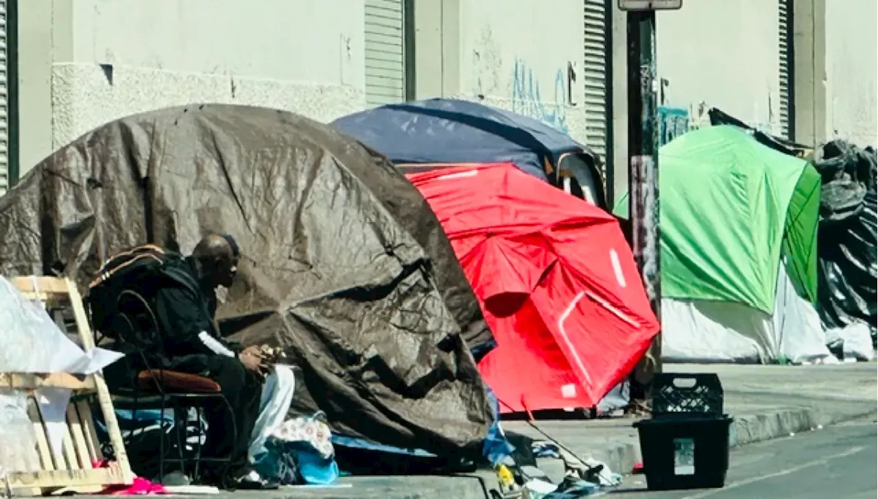 The $1.6 Million Vacation: Accountability Crisis at 1736 Family Crisis Center