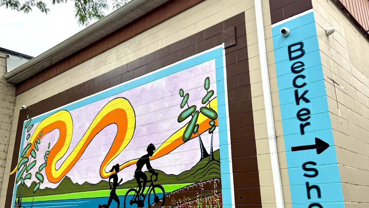 Belleville’s Front Street Transformation: The Art of Urban Renewal