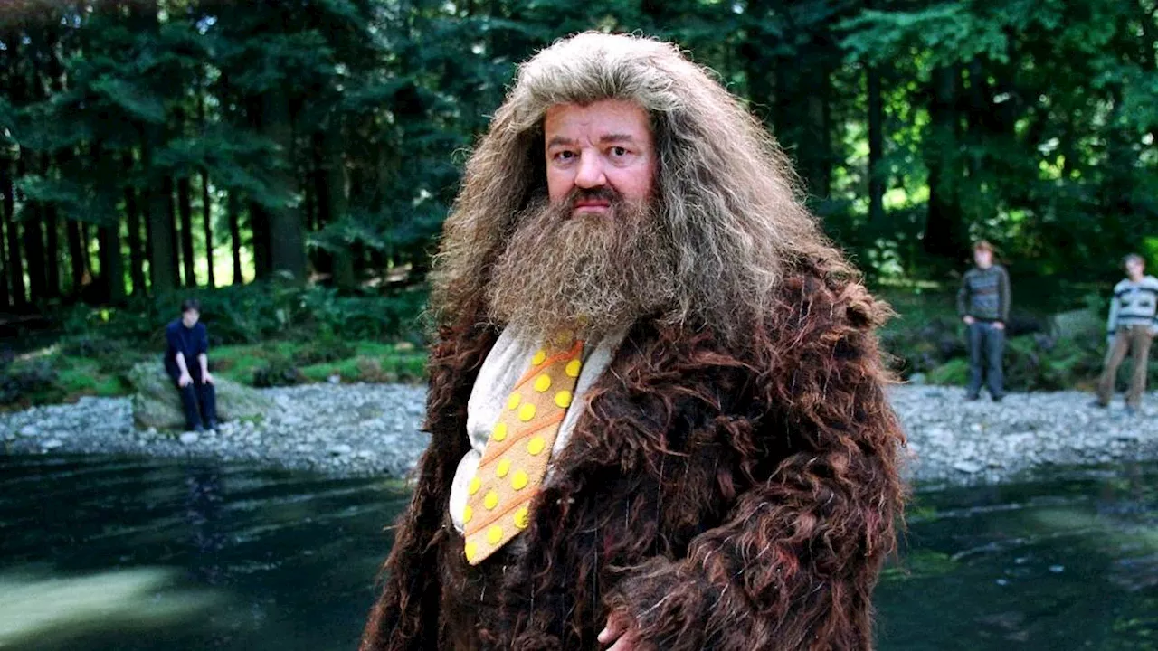 The Wizarding World's Multi-Media Surge: From Audible Audiobooks to HBO's Christmas Premiere