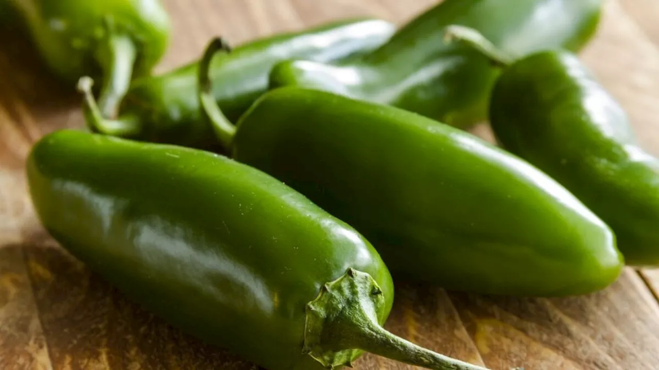 The Sinaloa Jalapeño Crisis: How a Single Distributor Sickened Hundreds