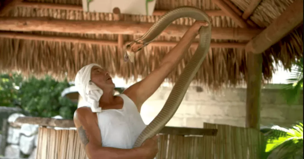 Inside the Billion-Dollar Reptile Underworld: The 'Monsters of God' Investigation