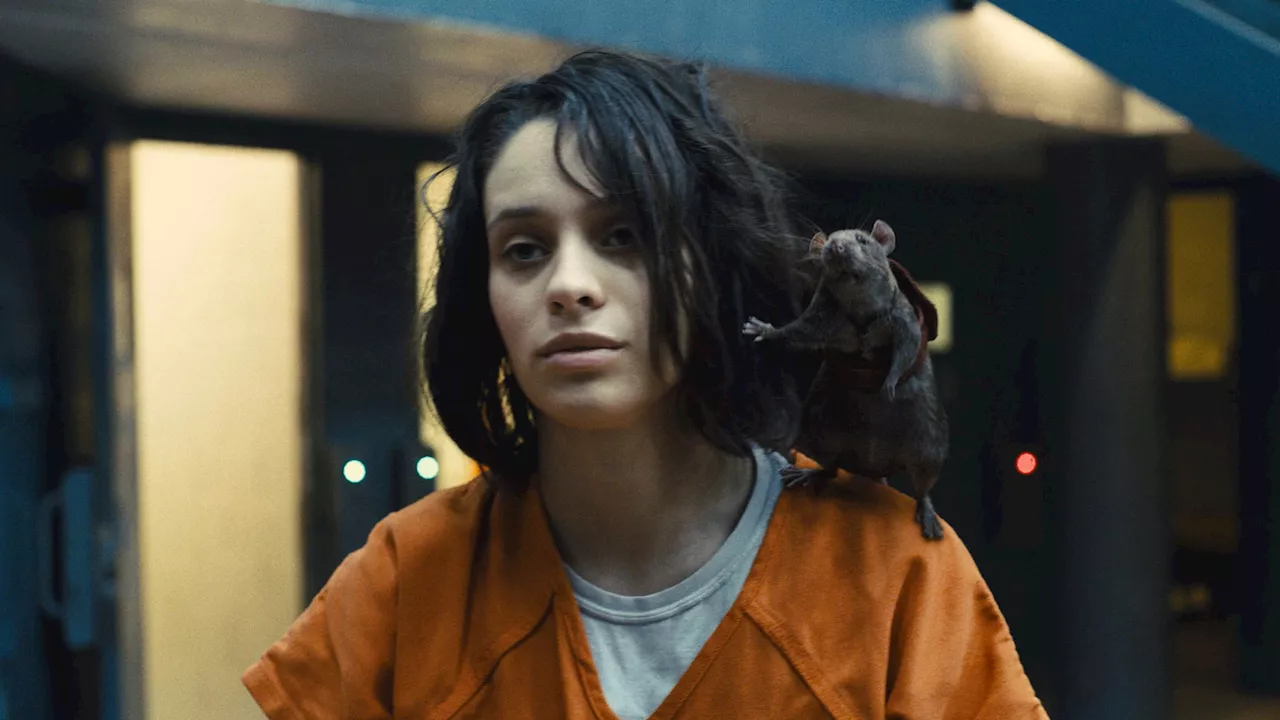 The Suicide Squad at Five: A Chaotic Bridge to James Gunn's DCU