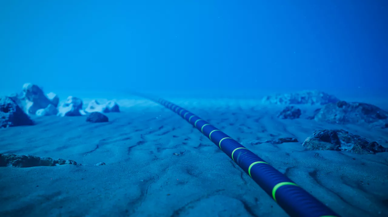 The Fragile Veins of the Internet: Securing the 3.5 Million Kilometre Undersea Network