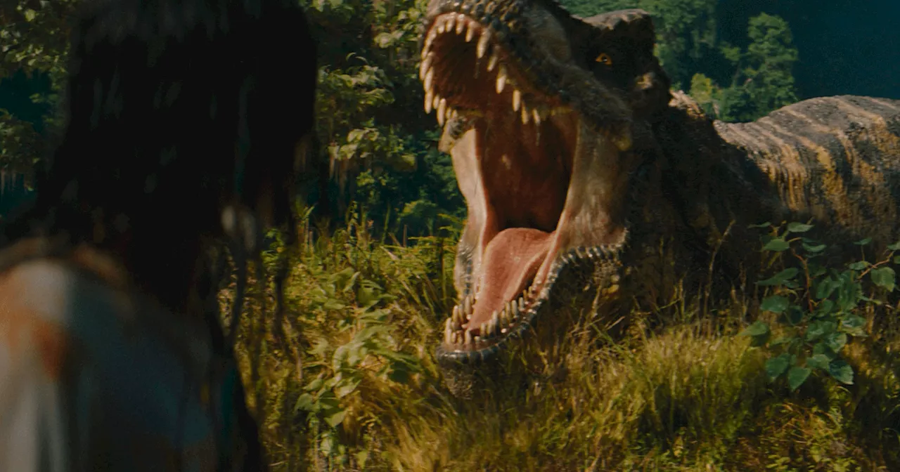 From Claire Dearing to the Director's Chair: Bryce Dallas Howard’s Jurassic World 5 Bid