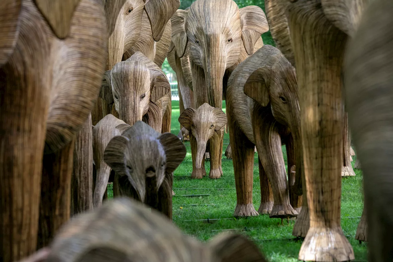 Boston's Back Bay Welcomes a Herd of 100 Sculpted Elephants