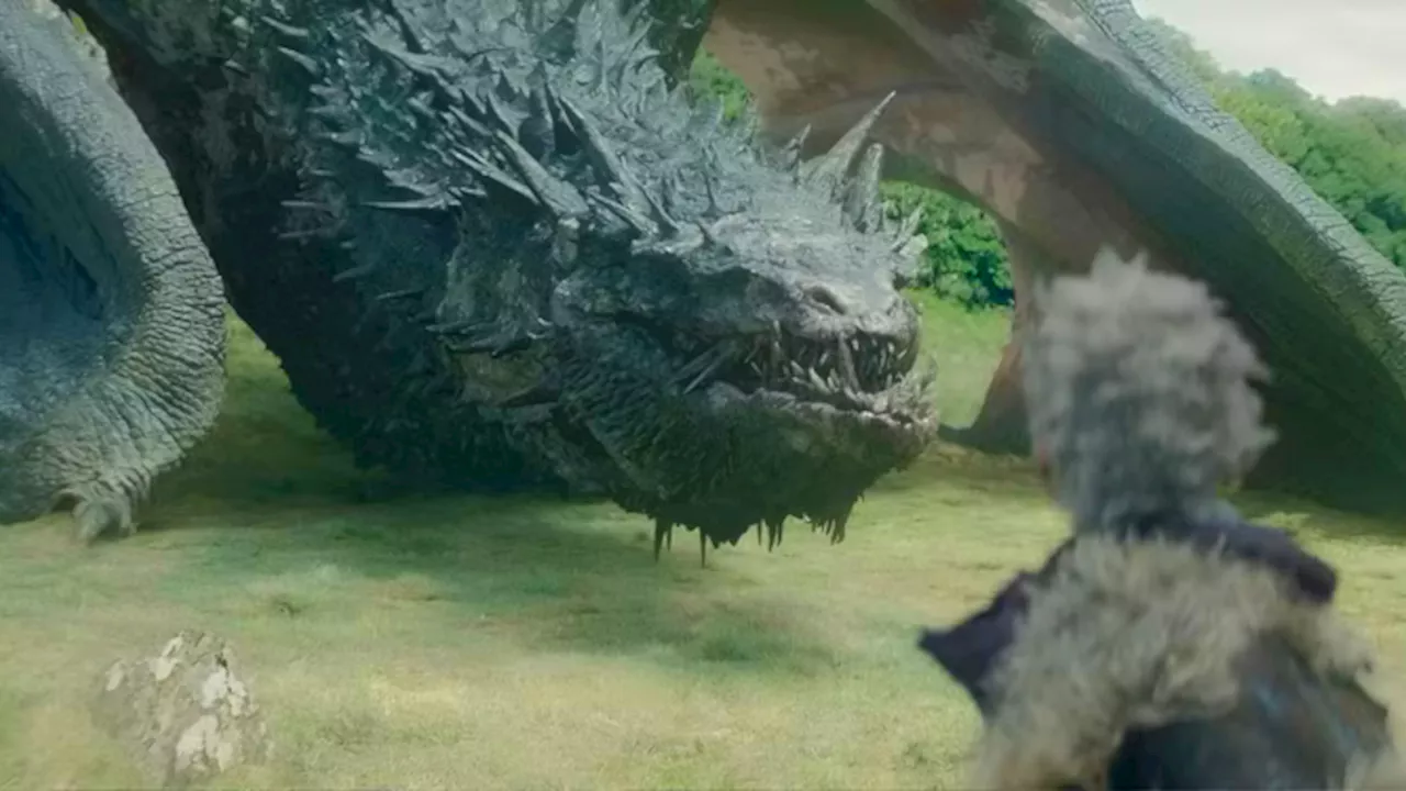 The Rhaena-Nettles Merge: House of the Dragon's Risky Narrative Gamble