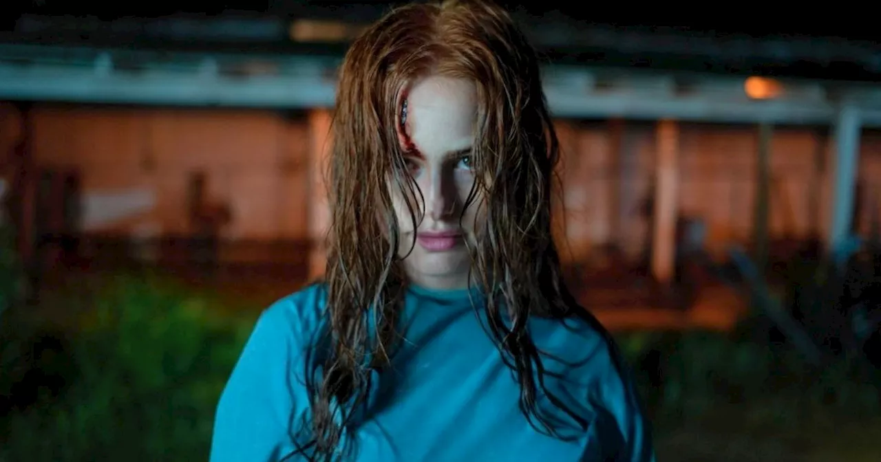 Critics Hate It, But Fans Are Showing Up: The Surprising Resilience of Strangers Chapter 2