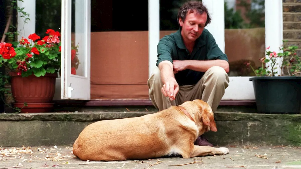 The Final Surge: Why Pets Experience a 'Last Rally' Before Death