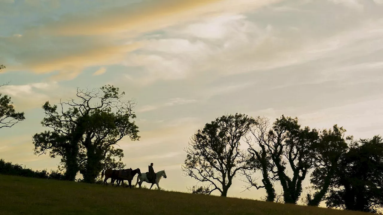 The Small-Scale Triumph: How 'A Knight of the Seven Kingdoms' Saved the Westeros Brand