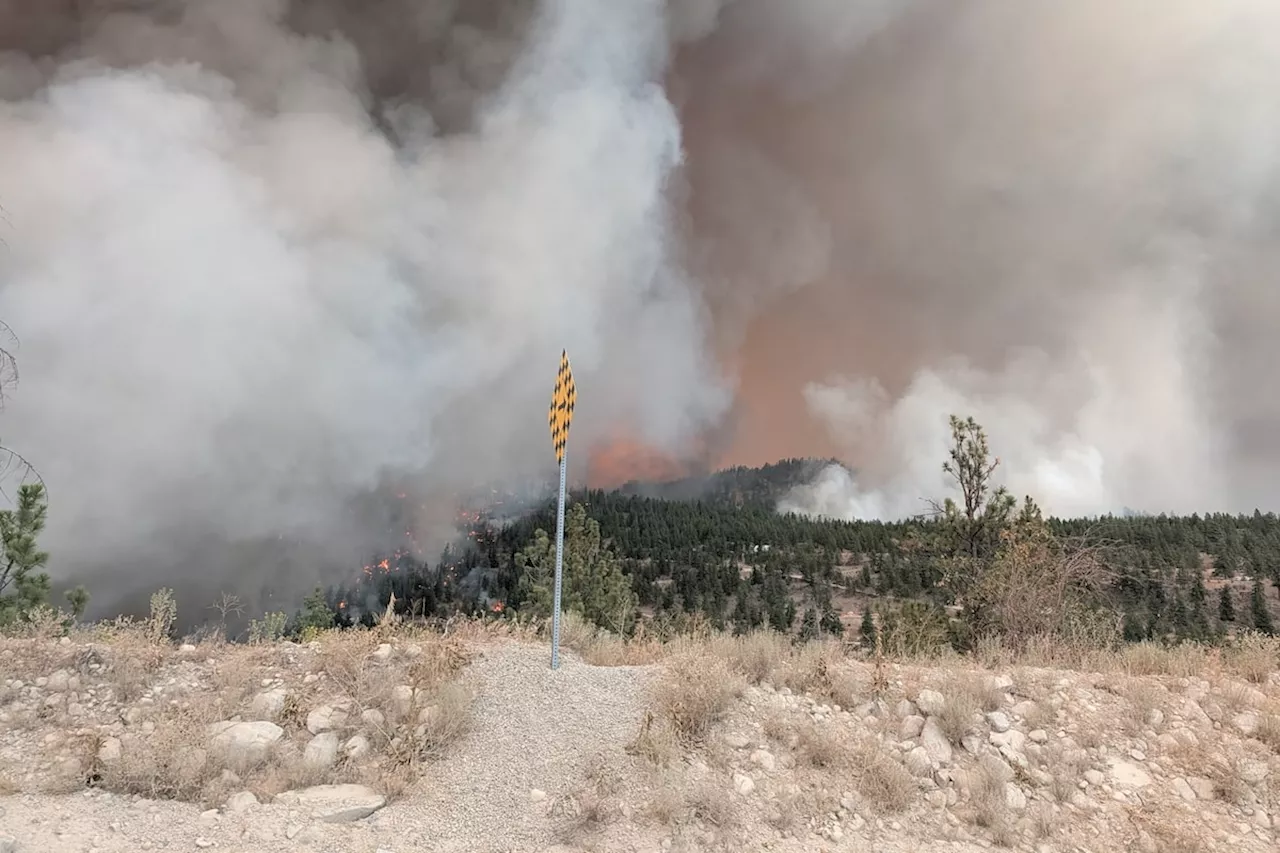 Okanagan Inferno: Bald Range Fire Displaces 20,000 in Rapid Surge