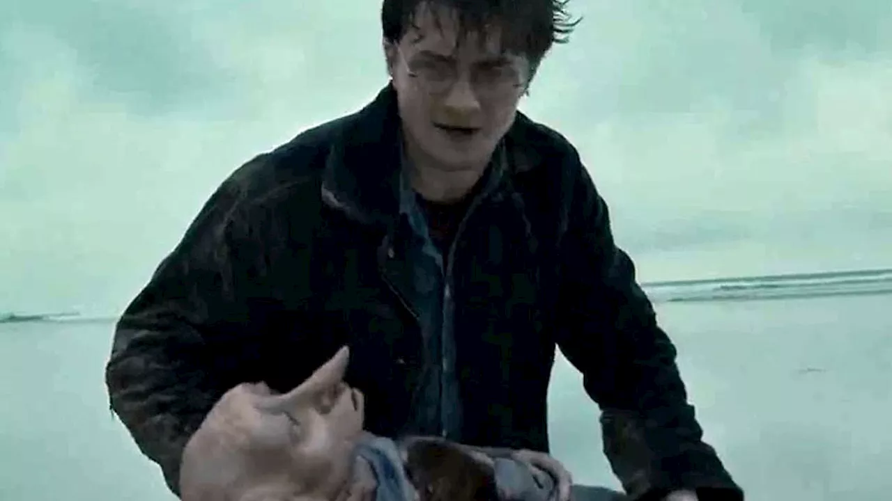 Fandom vs. Fuel: How Dobby the Elf Rerouted a £430 Million Energy Link