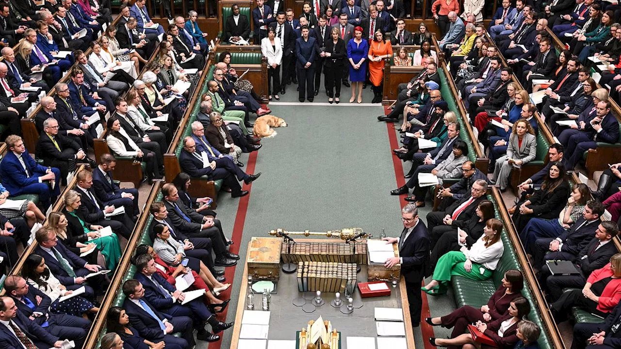 Westminster's Cocktail Crisis: Is Parliament Too Drunk or Too Sober?