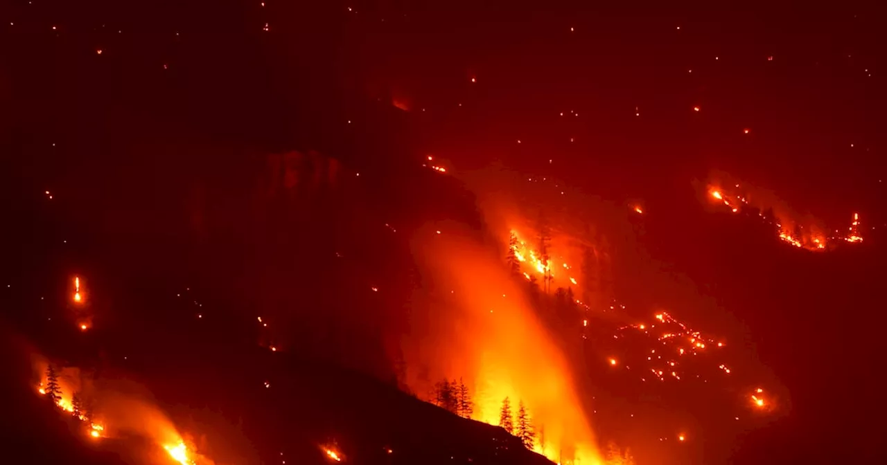 20,000 Flee as Bald Range Wildfire Triggers B.C. State of Emergency