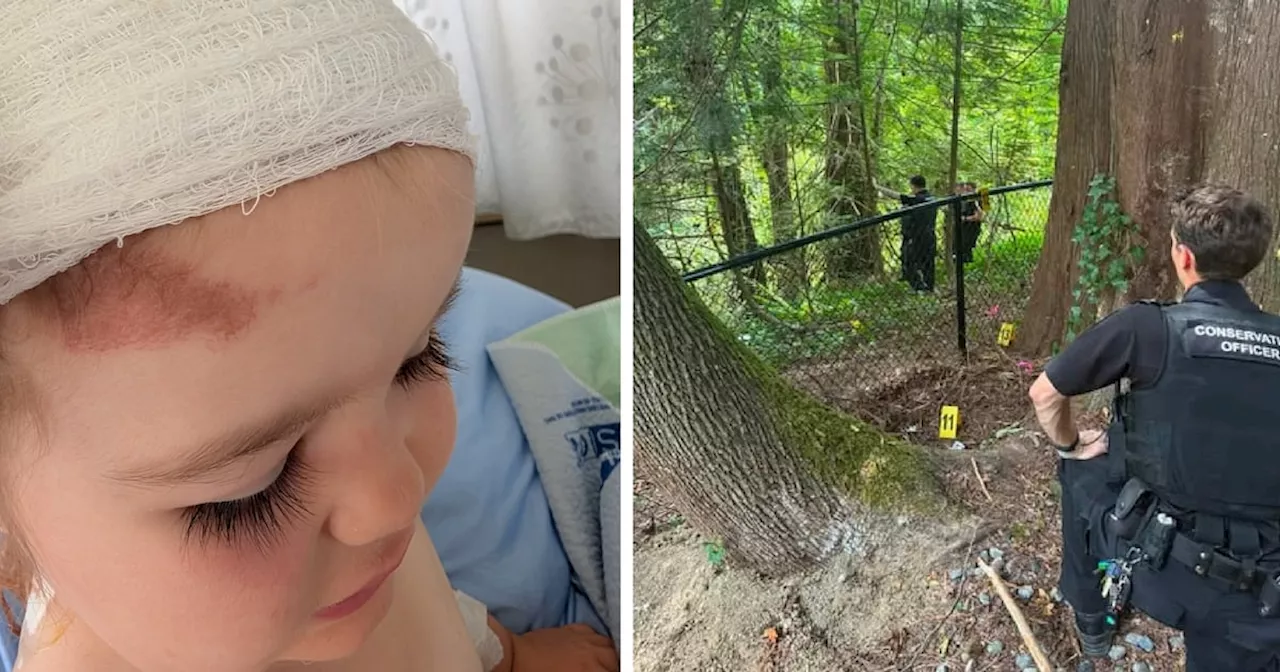 From Maple Ridge Bears to Congo Ebola: A Global Snapshot of Crisis and Discovery