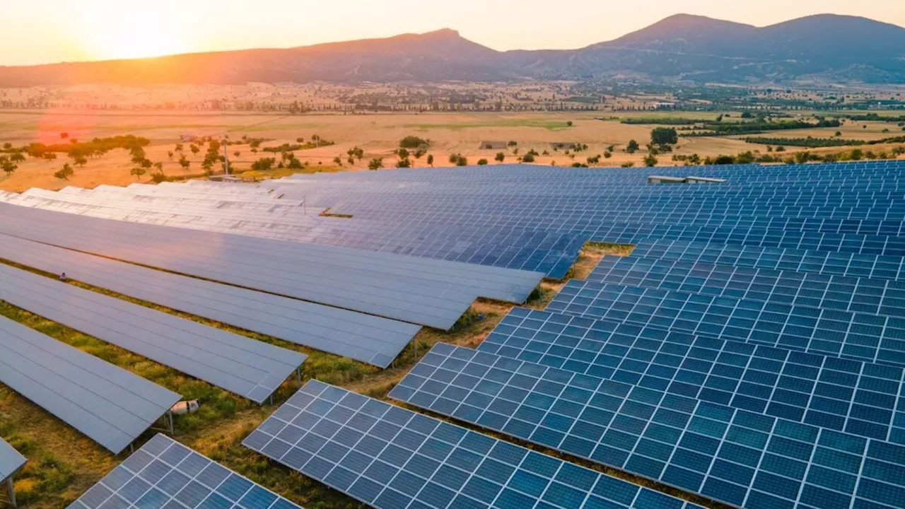 The Clean Energy "Retribution Tour" Claims a Tennessee Primary Victory