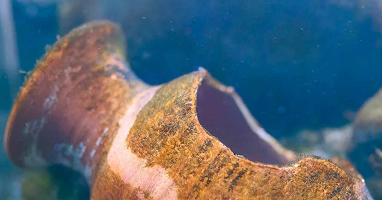 Sicily's Sunken Roman Treasure: The 2,000-Year-Old Wreck Near Mazara del Vallo