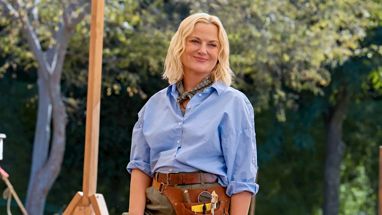 Amy Poehler and Michael Schur Reunite for Greece-Set Peacock Comedy 'Dig'
