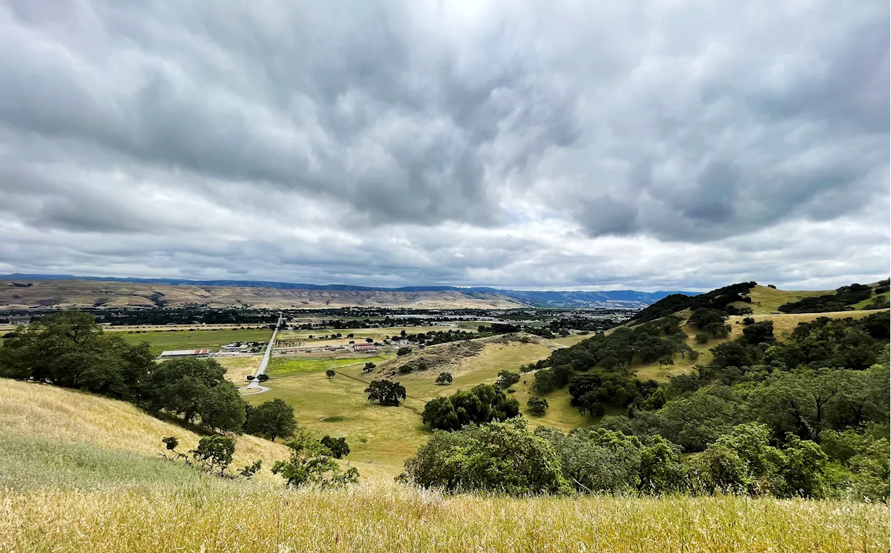 Finding Silicon Valley Solitude in the 348-Acre Coyote Valley Preserve