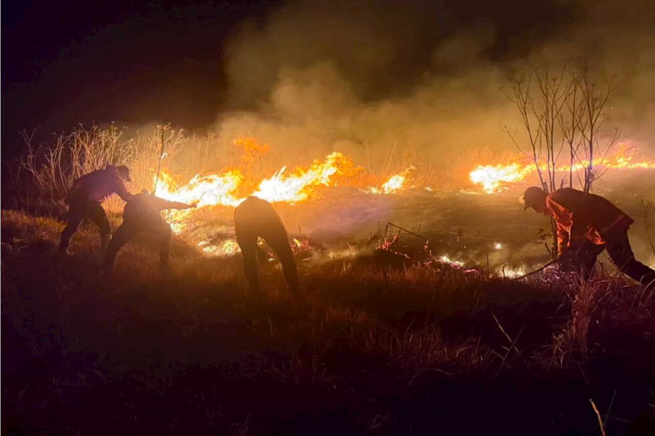 Indonesia's Wildfire Crisis: Bromo Tengger Semeru National Park Faces Devastation