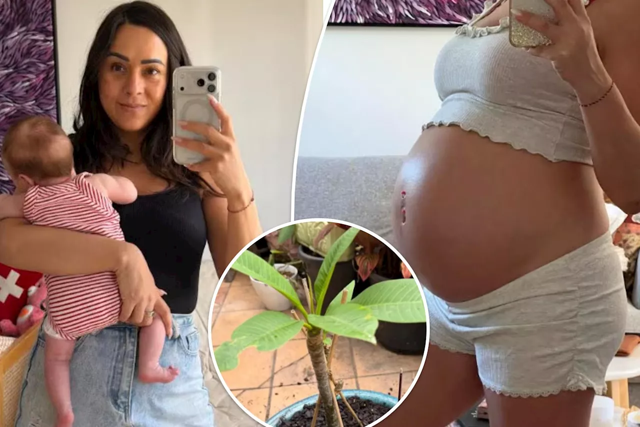 The Frangipani and the Placenta: A Melbourne Mother's Balinese Ritual