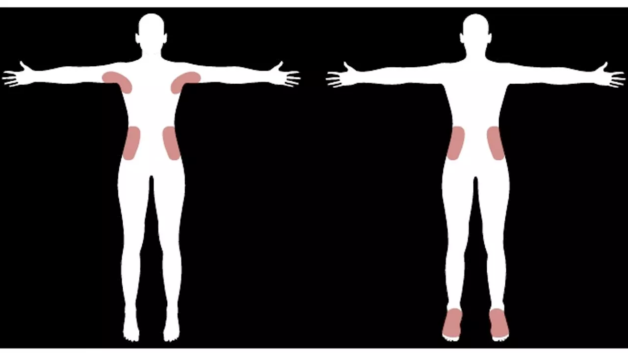 The Science of the Shiver: Why Tickle Hotspots are Universal