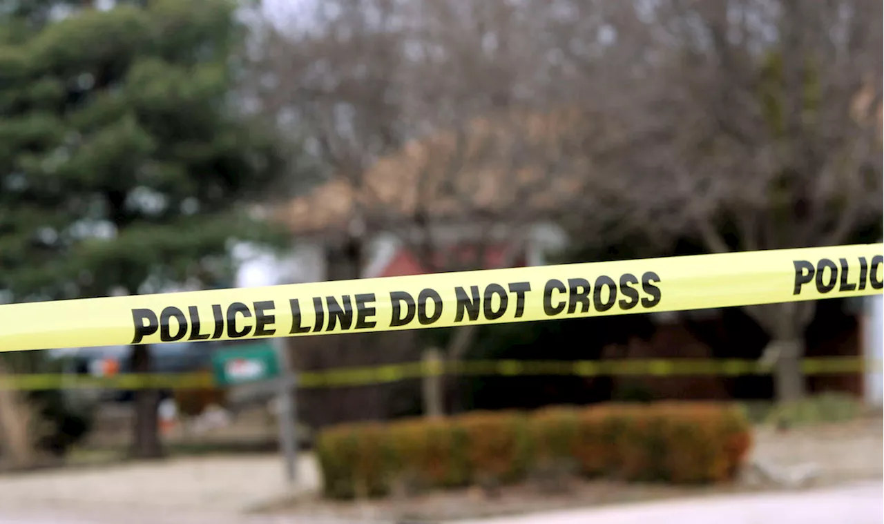 The Fatal Loophole: Bail and Protective Orders in the Madison Murder-Suicide