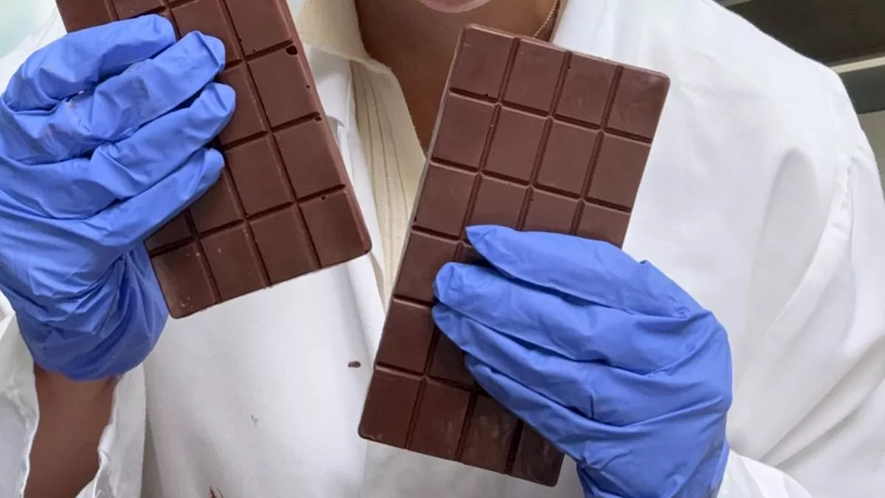 The Reading 100: A British Chocolate Bar and a Warning on Global Fragility