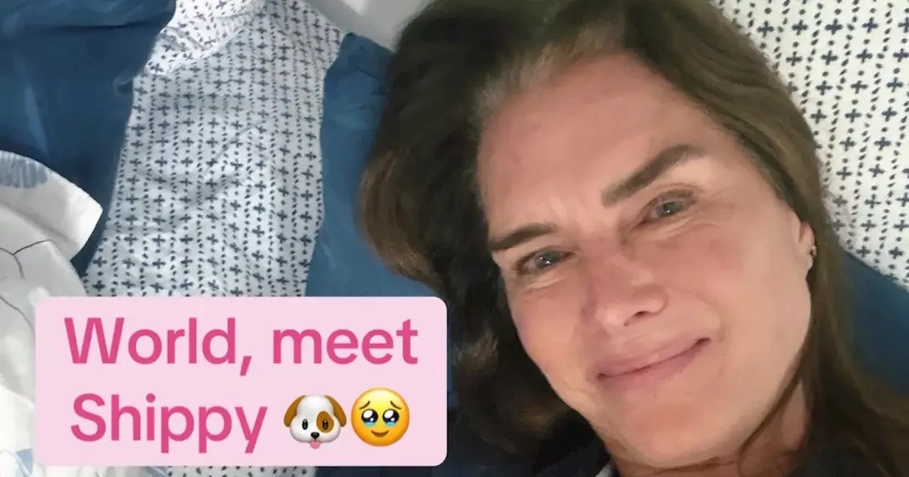 Brooke Shields’ Memoir: The Uncomfortable Truth of Aging in the Public Eye