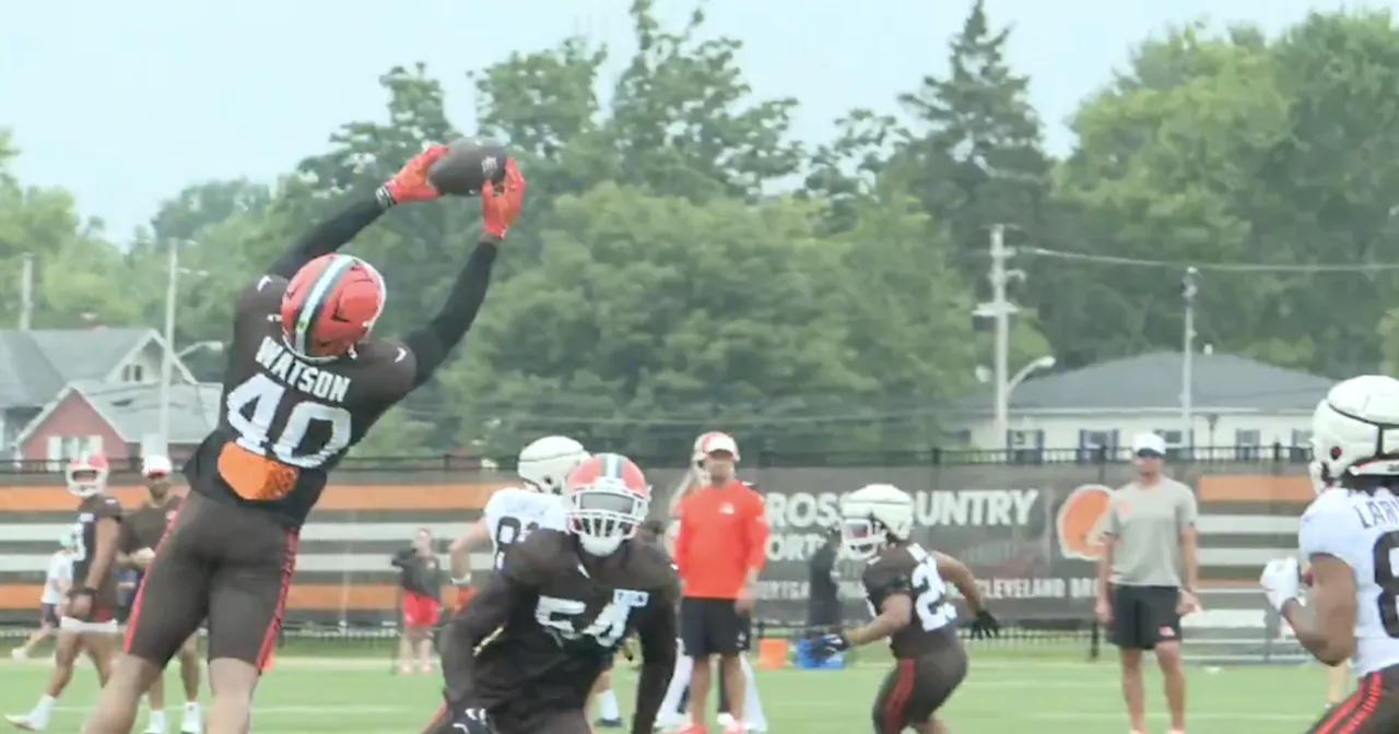 Cleveland Browns Day 12: Defensive Surge Met by Offensive Chaos and Injuries