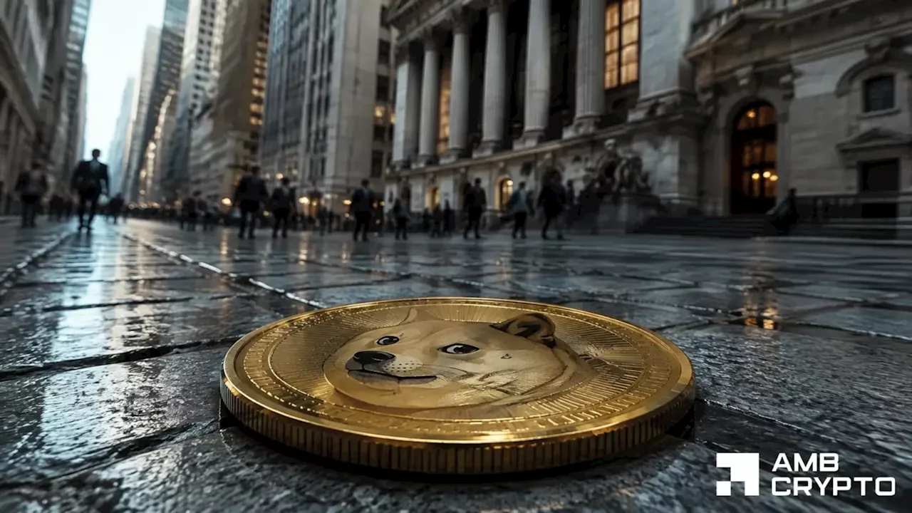Dogecoin Whales Buy the Dip, but the Bull Run Remains Fragile
