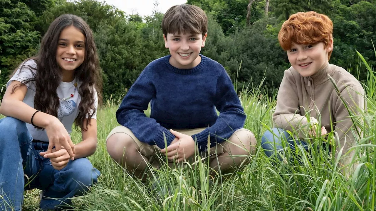The Wizarding War: HBO’s Harry Potter Faces a Gender Identity Crisis