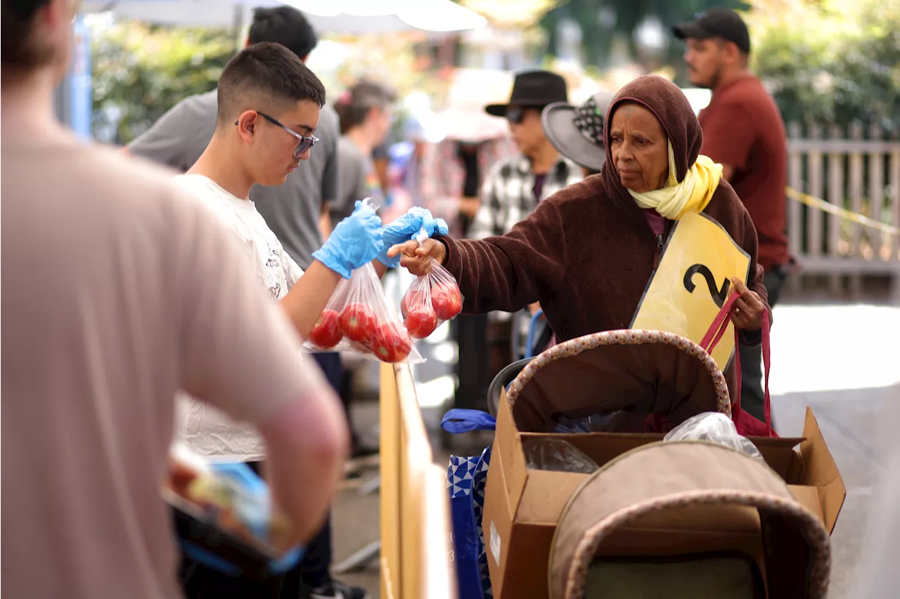 Hayward's Food Security Gap: Why a Local Church is Pivoting to Shelter Services